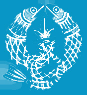 linkfishmedia Link Fish Media