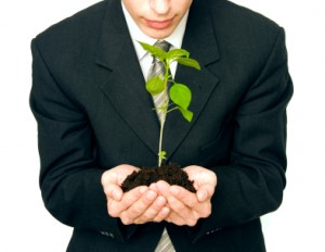 business startup1 300x232 Business Startup Marketing Guide 