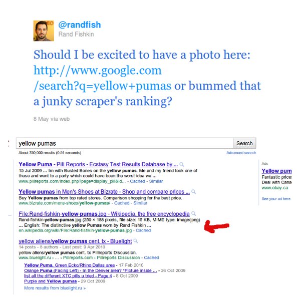 rand-on-panda rand on panda Why You Should Follow Rand Fishkin On Twitter