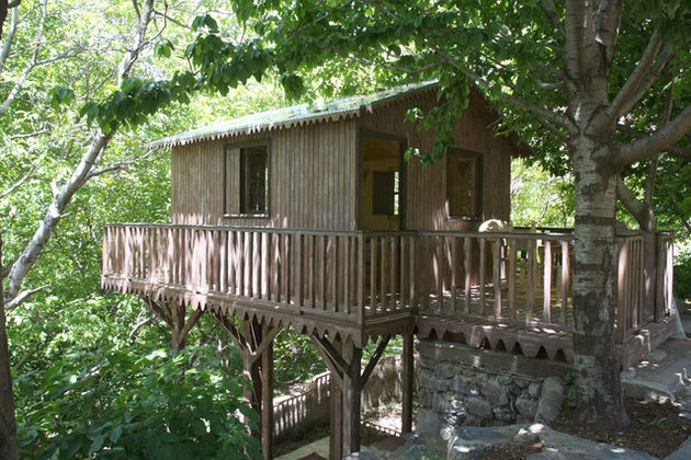 TigmiAmalou Treehouse on Airbnb.com Social Travels Most Exciting Players: Airbnb and Tripping.com