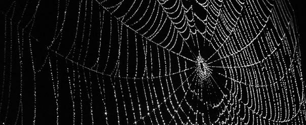 google-spider-dots google spider dots Google Dots DDoS? Weird Stuff!