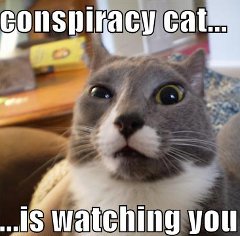 conspiracy cat Google Link Penalties, SEO Sabotage And The Great Link Conspiracy