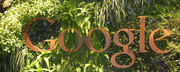 google-jungle google jungle Video Link Bait As Seen In The Wild